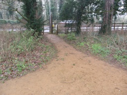 Image on trail